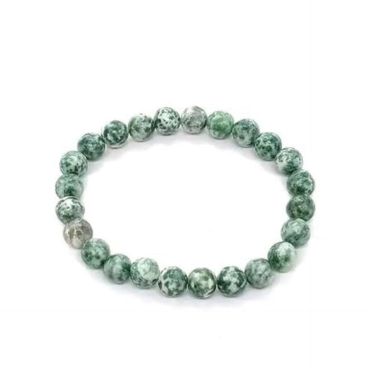 BRAHMAGYAAN Natural Tree Agate Bracelet – Handmade Tree Agate Gemstone Bead Stretch Bracelet for Growth, Harmony & Everyday Elegance