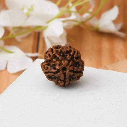 Brhmagyaan Panch Mukhi Rudraksh Single Peice Wood Pendant