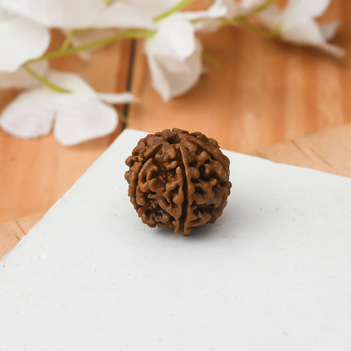 Brhmagyaan Panch Mukhi Rudraksh Single Peice Wood Pendant