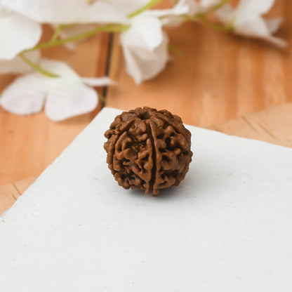 Brhmagyaan Panch Mukhi Rudraksh Single Peice Wood Pendant