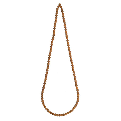 Brhmagyaan Rudraksha Mala – Energize Your Spirit (108 Beads) Rudraksha Chain