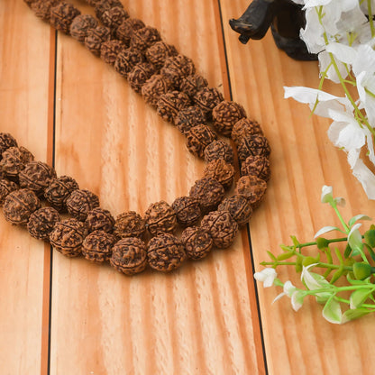 Brhmagyaan Rudraksha Mala – Energize Your Spirit (108 Beads) Rudraksha Chain