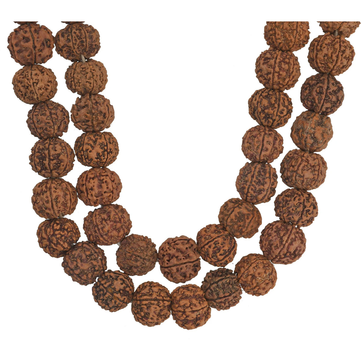 Brhmagyaan Rudraksha Mala – Energize Your Spirit (108 Beads) Rudraksha Chain