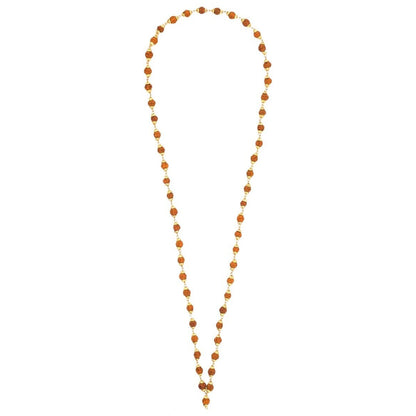 Brhmagyaan Rudraksha Mala – Energize Your Spirit (108 Beads) Rudraksha Chain