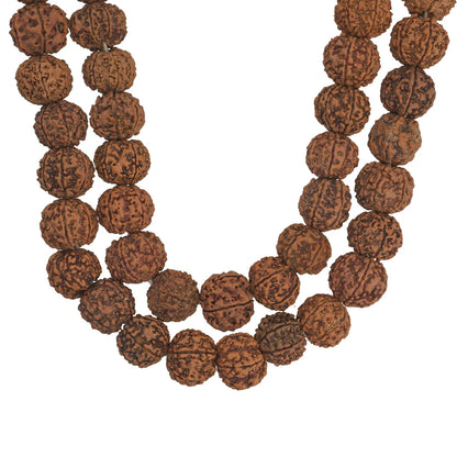 Brhmagyaan Rudraksha Mala – Energize Your Spirit (108 Beads) Rudraksha Chain