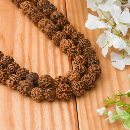 Brhmagyaan Rudraksha Mala – Energize Your Spirit (108 Beads) Rudraksha Chain