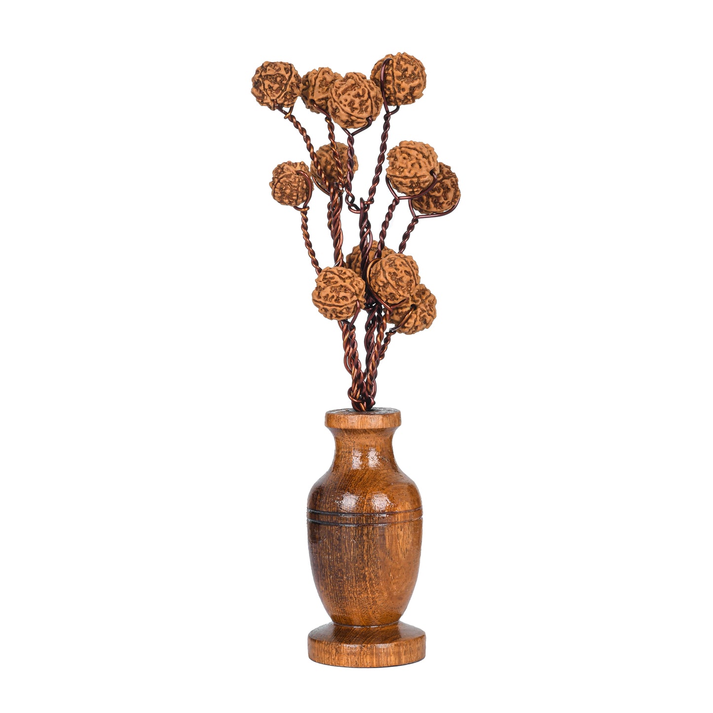 Sacred Wisdom Unveiled: Explore the Spiritual Significance of the Rudraksha Tree